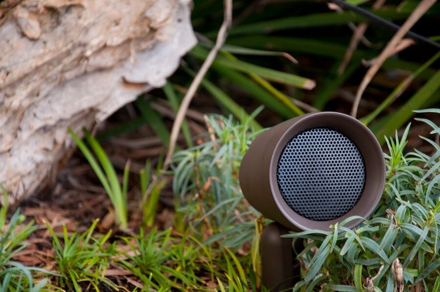 A Sonance outdoor speaker among a backyard’s foliage.